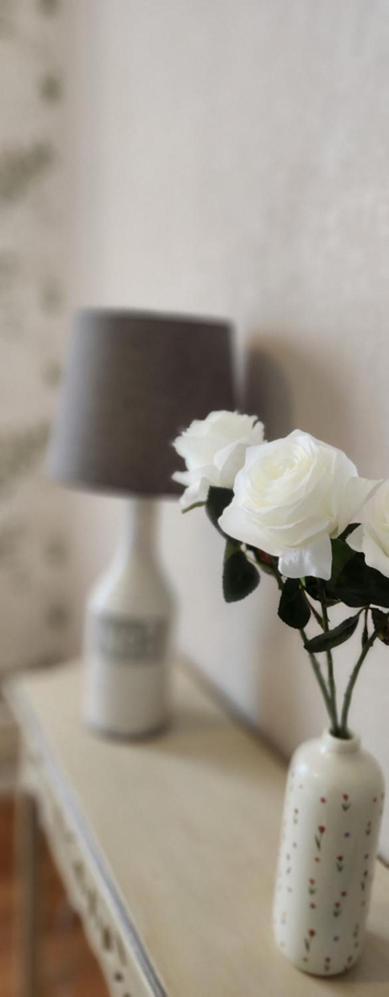 Les Hortensias Blancs Studio Amiens Eksteriør billede