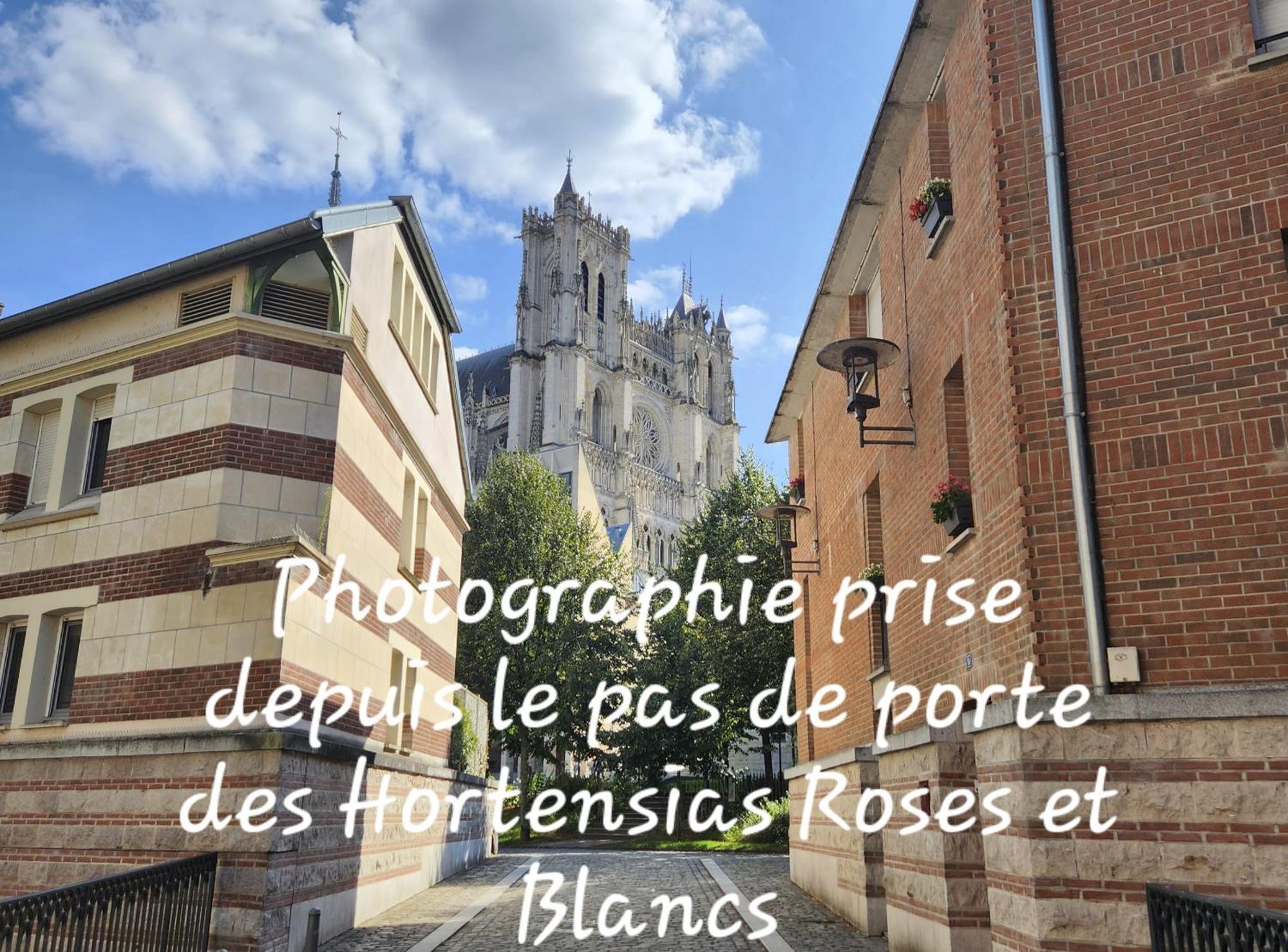 Les Hortensias Blancs Studio Amiens Eksteriør billede